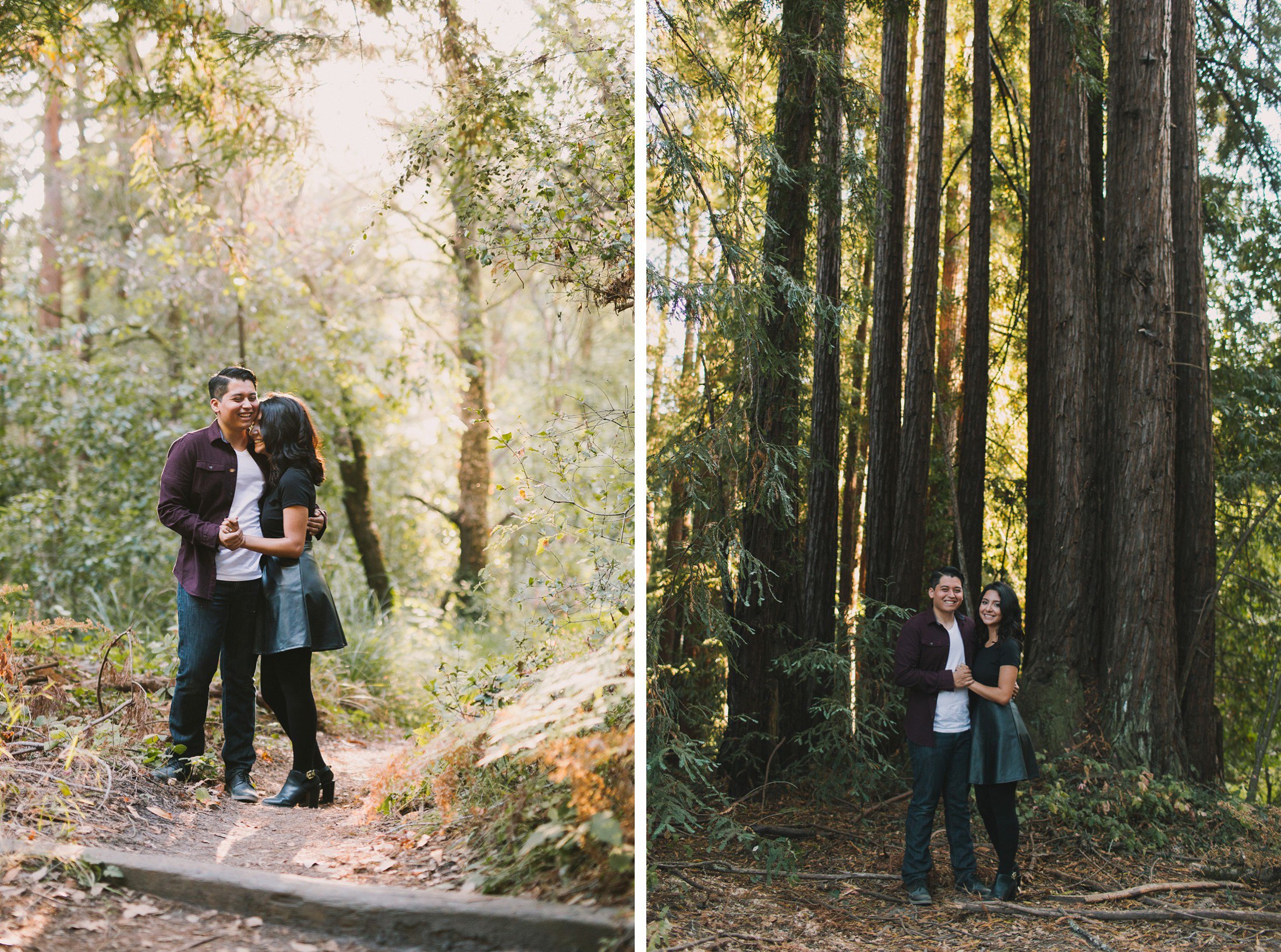 Engagement photos among redwood trees